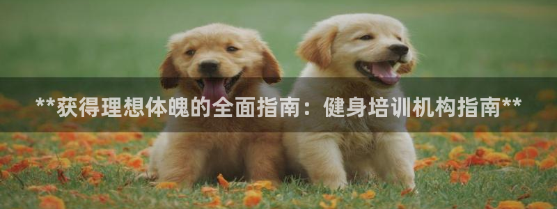 龙8游戏平台老虎机
