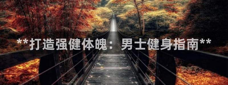 国际龙8官方网站
