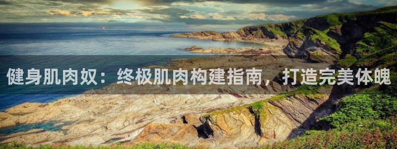 龙8国际官方平台