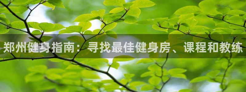 龙8国际平台