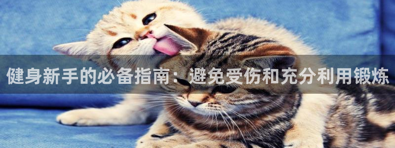龙8国际官方网址下载