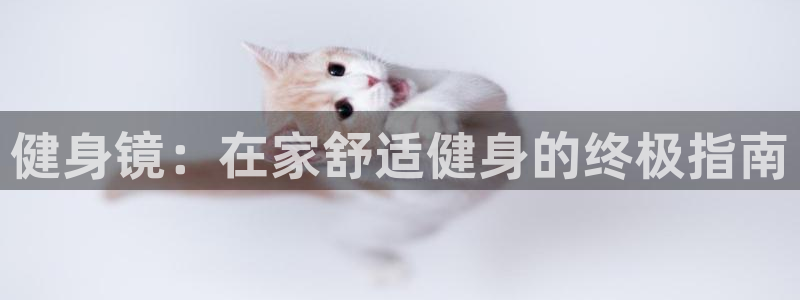 龙8国际pt网址官方