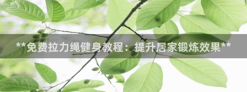 龙8国际网页登陆