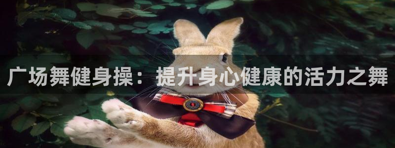 龙8官网国际