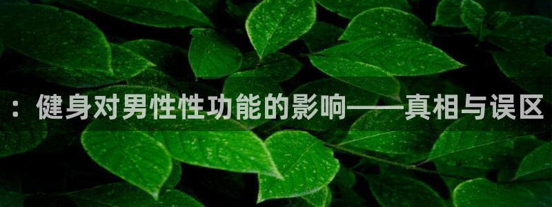 龙八国际娱