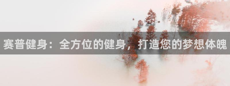 龙八国际pt