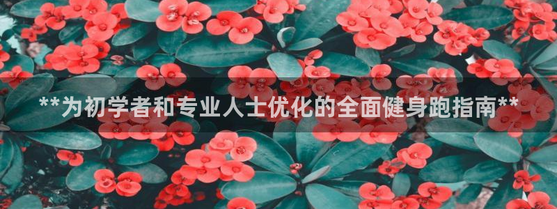 龙8国际的官网