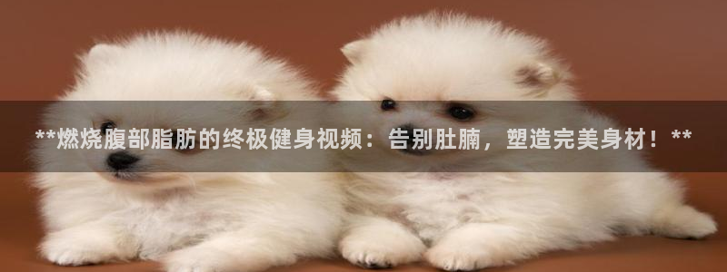 龙8 国际