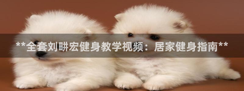 龙8国际网址