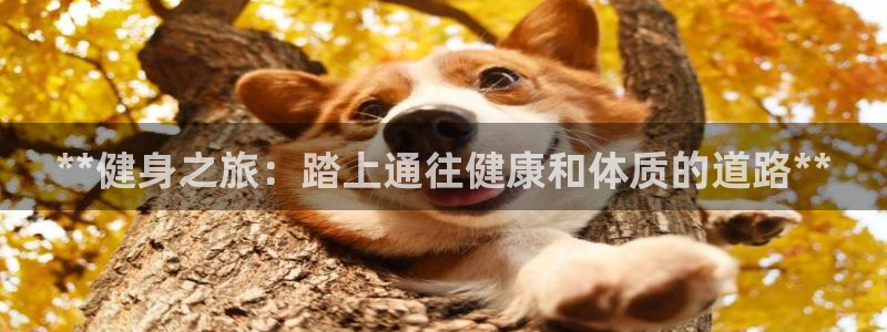 龙8国际pt网址