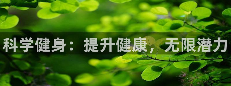 龙八国际娱乐在线游戏