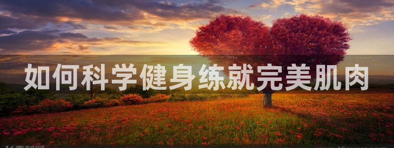 龙8国际怎么样