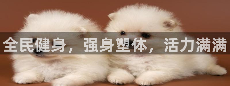 龙8国际long8龙8游戏