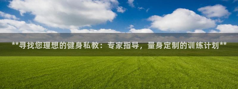 龙八国际pt