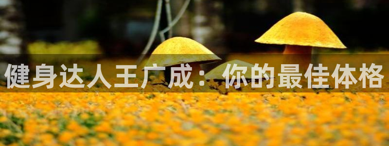 龙8国际是什么电影