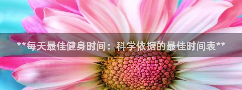 龙8国际手机游戏官网版