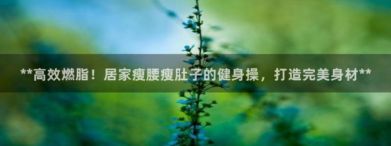 龙8国际的官方网站