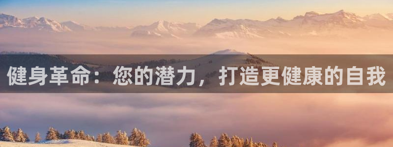 龙8国际long8