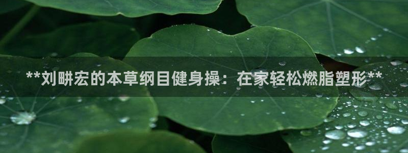龙8国际.com