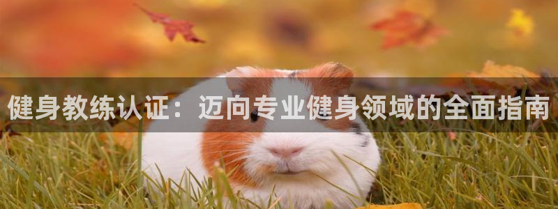 龙8老虎机游戏网站多少