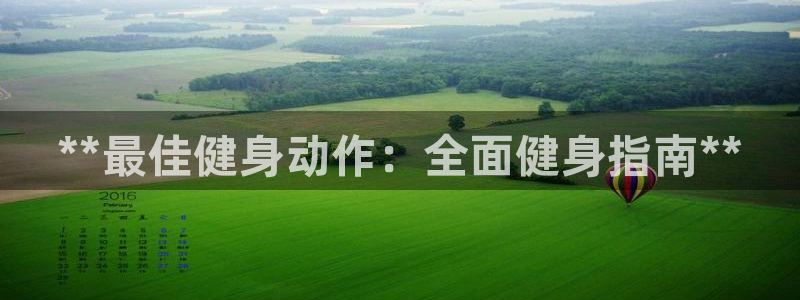 龙8 国际