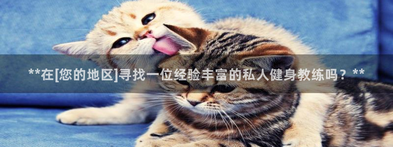 龙8国际app下载客户端
