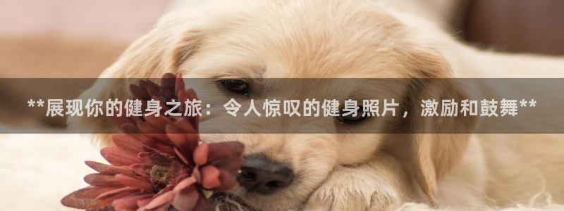 龙8网页版登录入口