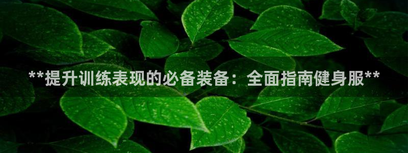 龙8电子游艺网址多少