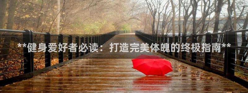 龙 八国际