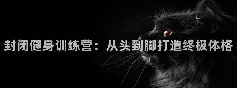 龙8国际官网手机登录