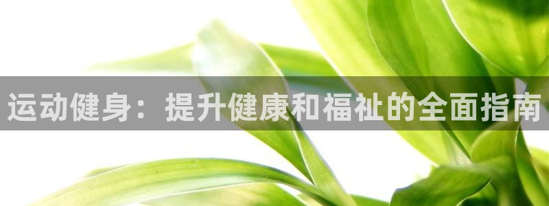 龙8老虎机网络游戏