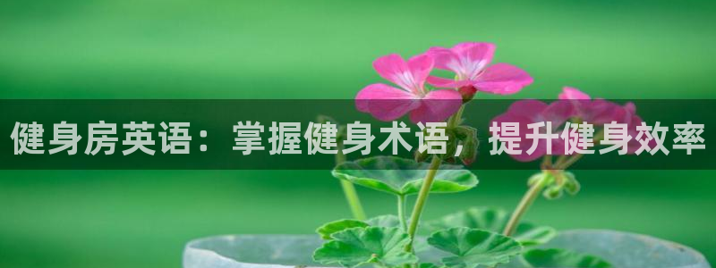 龙8国际是什么电影