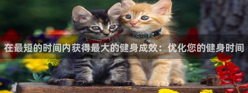 龙8国际long8