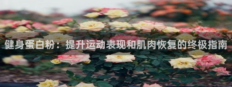 龙8国际手机登录官网