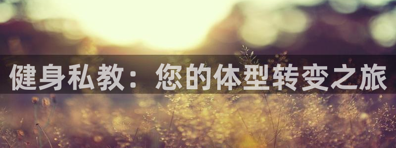 龙 八国际