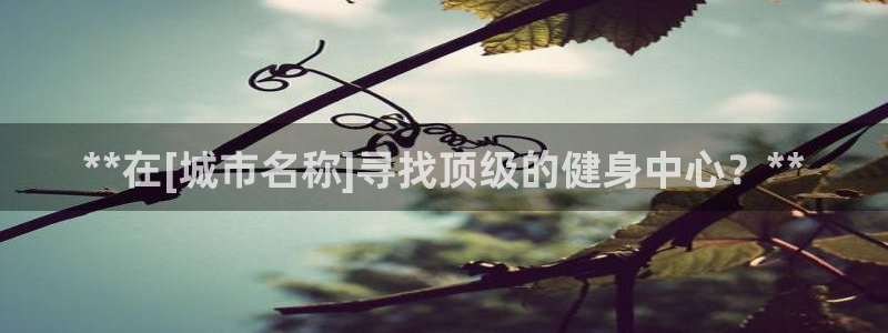 龙八国际娱乐网页多少