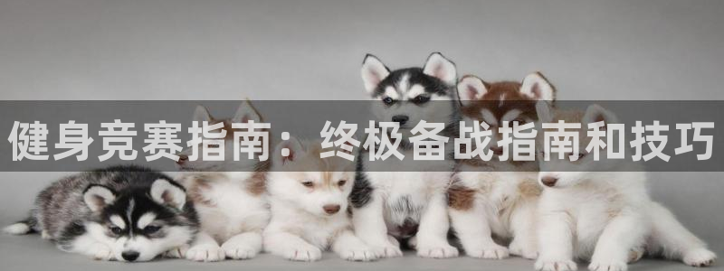龙8游戏官网