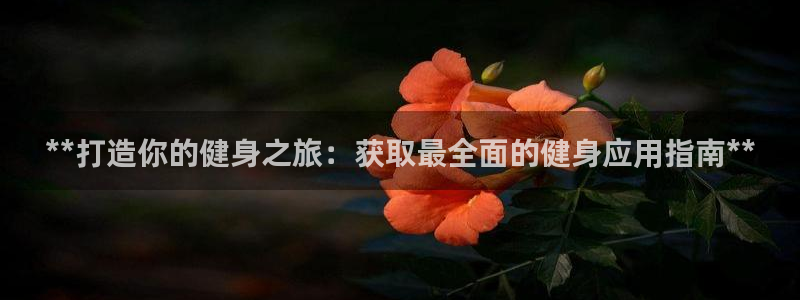 龙8国际com
