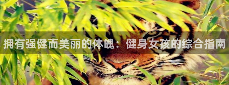 龙8国际手机游戏官网版