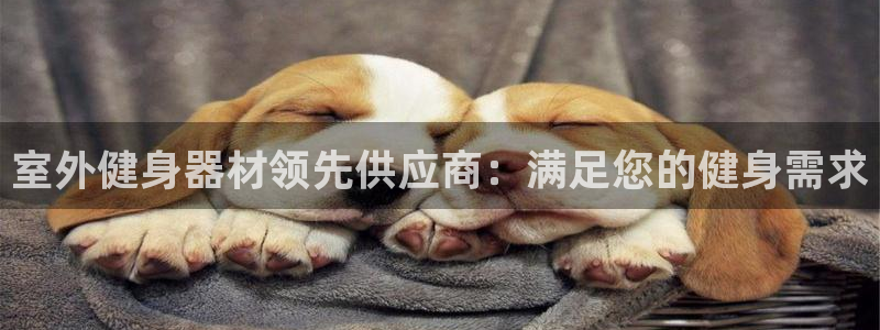 龙8国际官网官方版fxzls天地手游 -kc -安卓