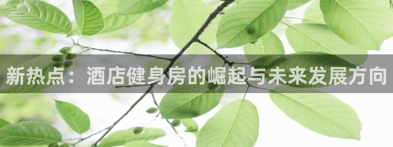 龙8国际官网多少