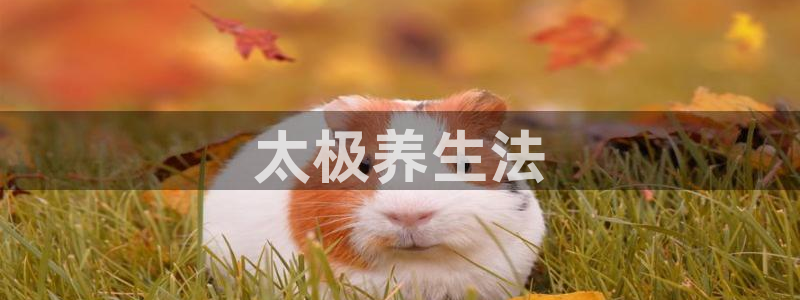 龙八国际app客户端下载不了