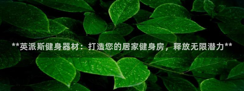 龙八国际网页
