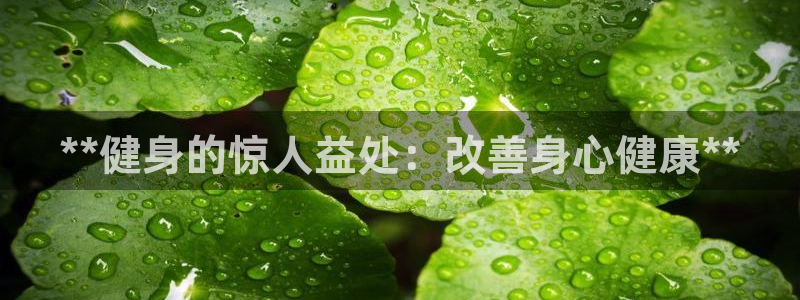 龙8国际官方网址
