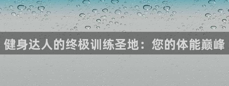 龙8官网正版