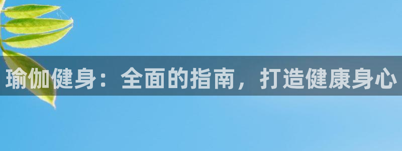龙 八国际