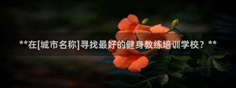 国际龙8官网pt客户端
