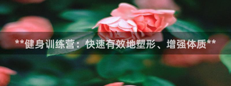 龙8国际头号玩家是谁