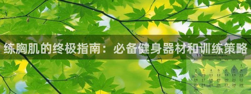 龙八国际网页