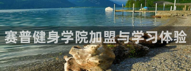 龙8国际官网